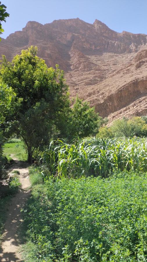 Riad Dar Ahlam Aït Baha Eksteriør billede