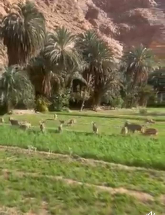 Riad Dar Ahlam Aït Baha Eksteriør billede